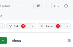 Fork GitHub 项目